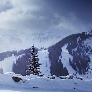 Meet your Posher, Rick